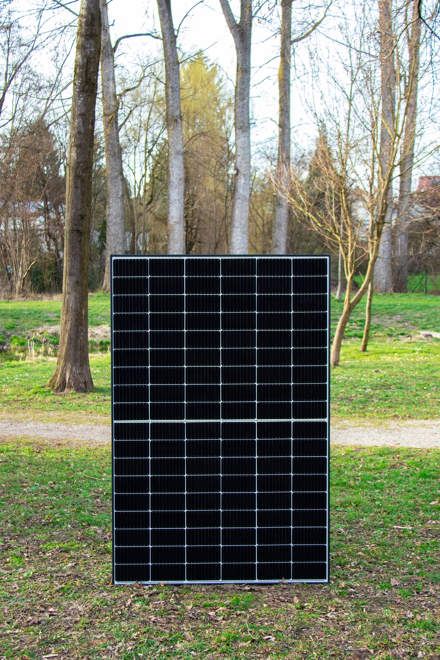 Canadian Solar Modul 410 Watt auf grüner Wiese